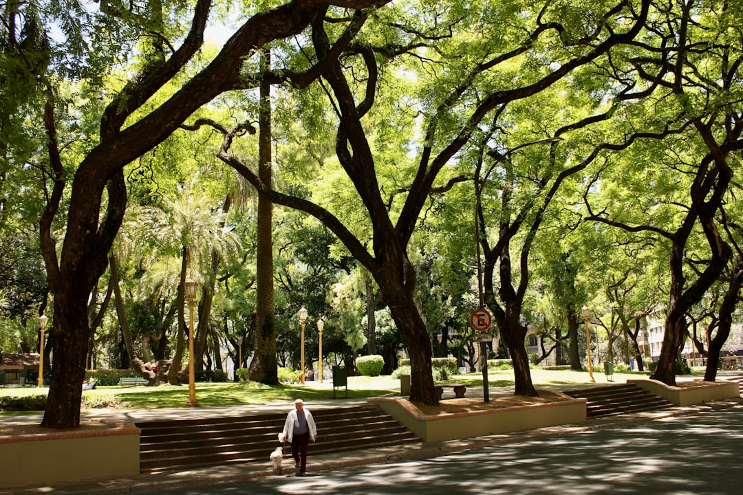 Un oasis en la ciudad: el nuevo parque que revoluciona el espacio público